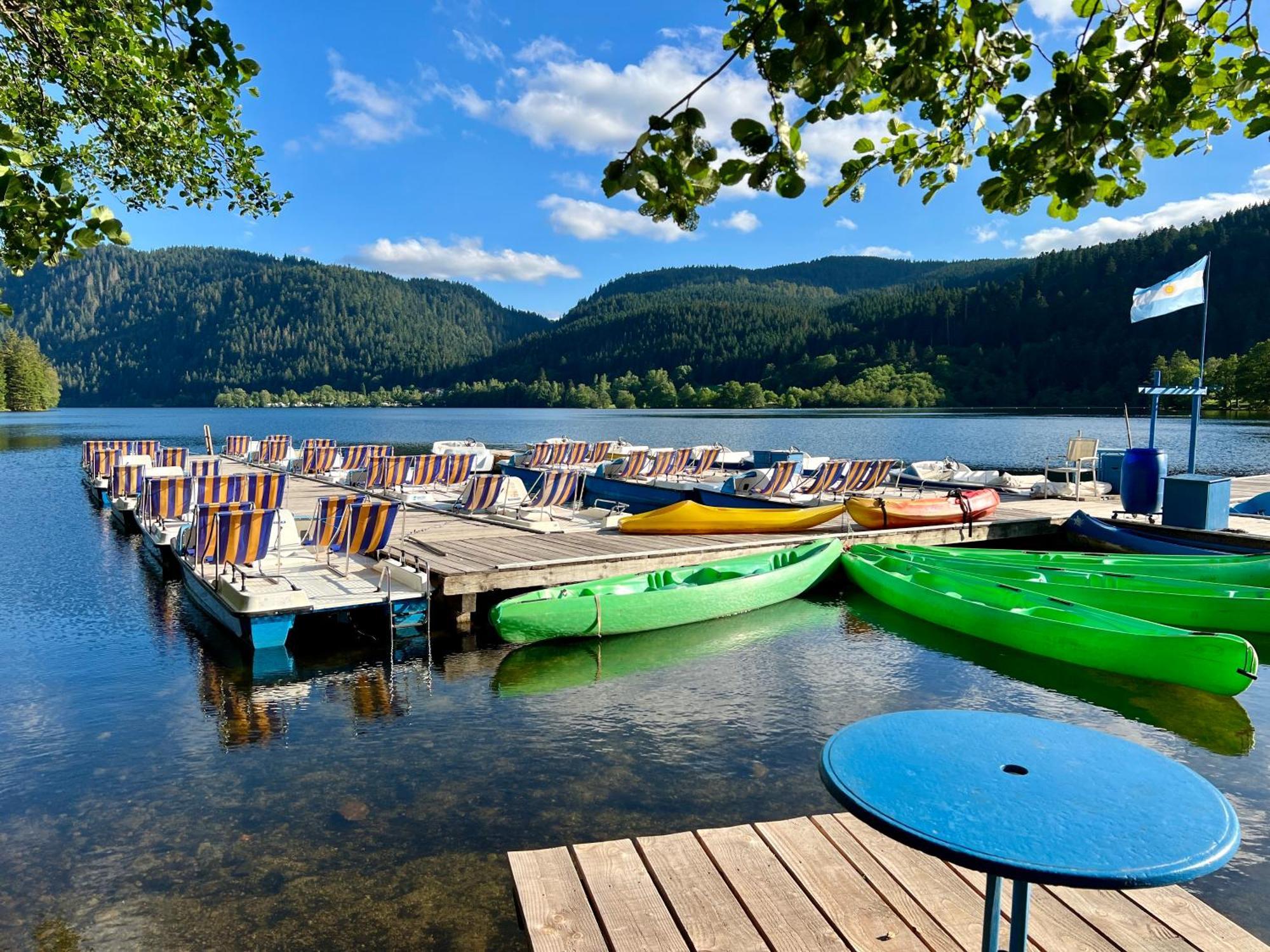 Logis Hotel, Chalets Et Restaurant Les Chatelmines 라브레세 외부 사진