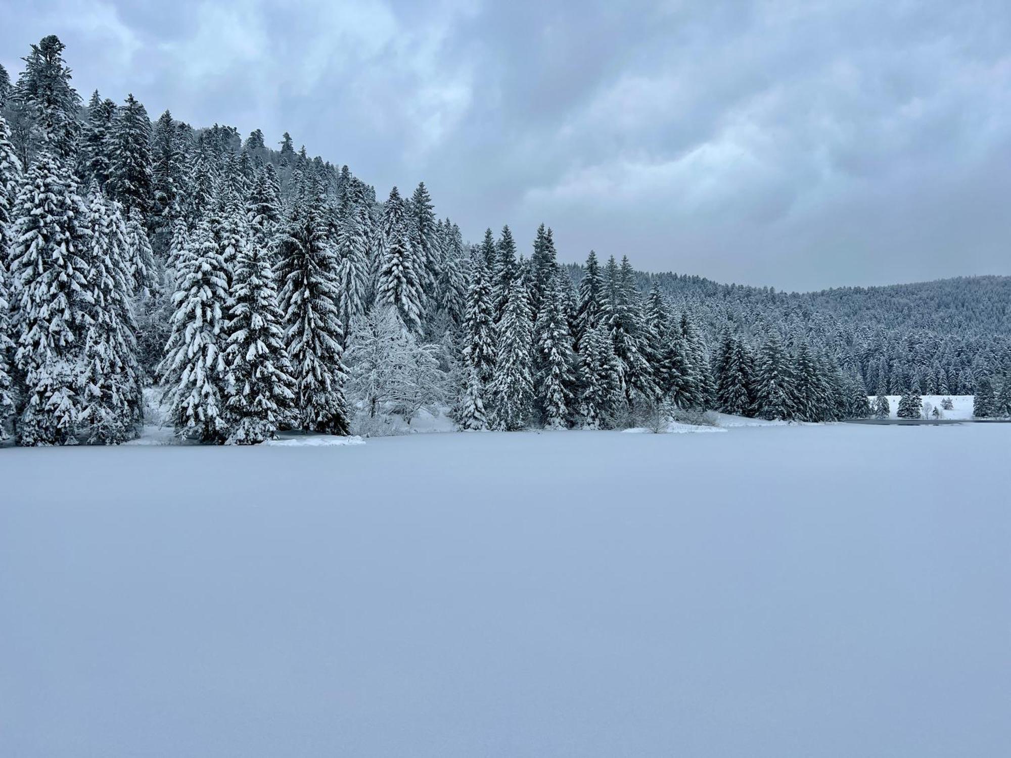 Logis Hotel, Chalets Et Restaurant Les Chatelmines 라브레세 외부 사진